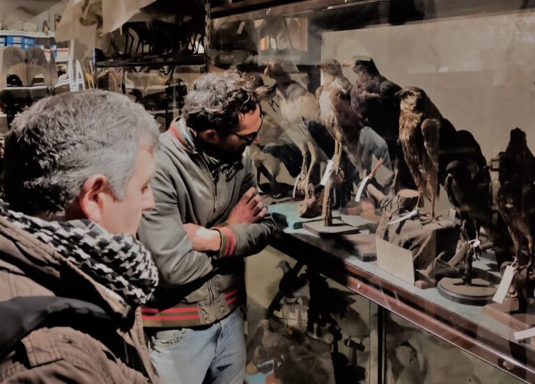 Comienzan las visitas mediadas al depósito zoológico del Museo Gallardo