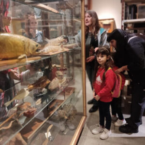 El Museo Gallardo invita al público a visitar sus depósitos zoológicos