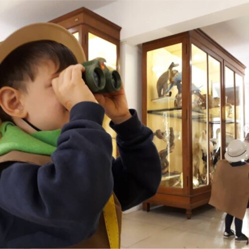 Vení a visitar el Museo Ameghino