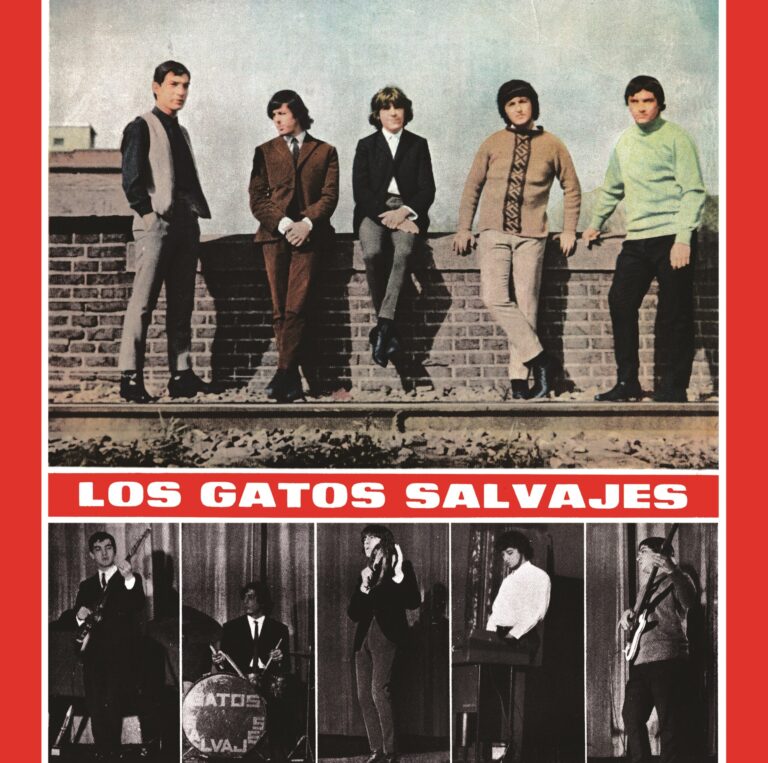 El disco original de Los Gatos Salvajes llega al Museo del Rock Santafesino