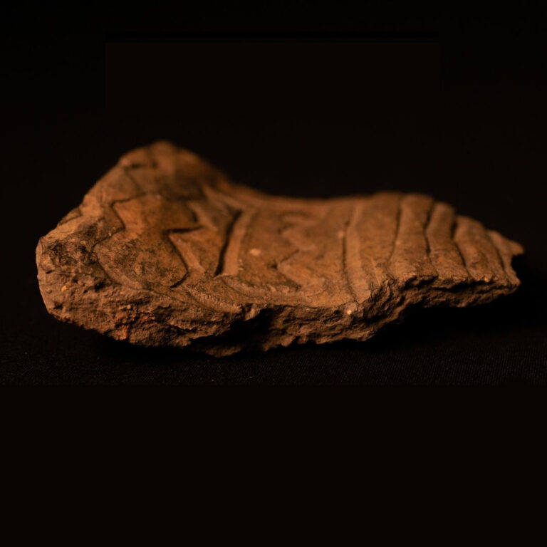 Memoria del barro en el Museo Marc
