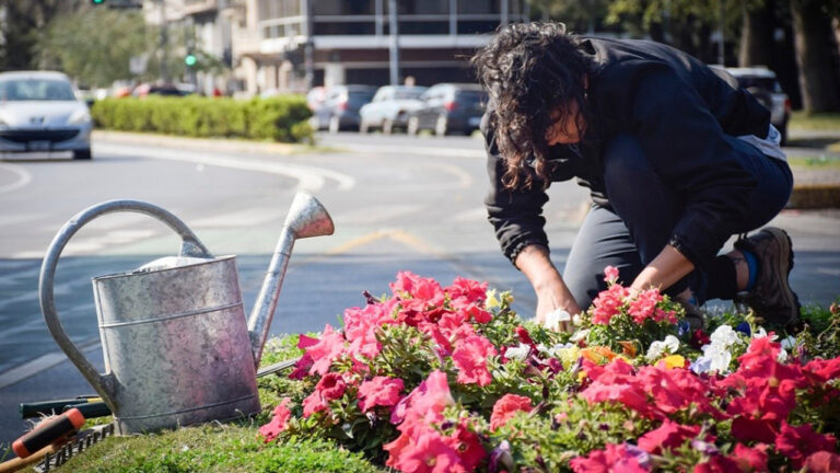 Un jardín para Pichón se presenta en Cine El Cairo