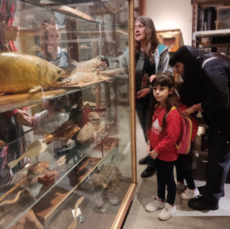 Depósito abierto: un recorrido por las colecciones zoológicas del Museo Gallardo