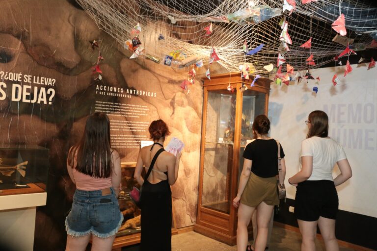 Noche de Museos Abiertos: miles de personas recorrieron los museos provinciales en Rosario