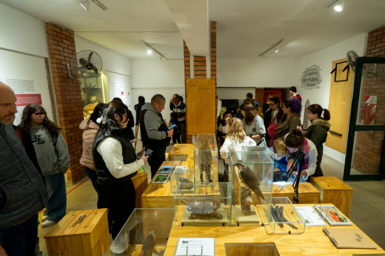 Cultura Viva celebra el Día Internacional de los Museos en el Museo Ameghino