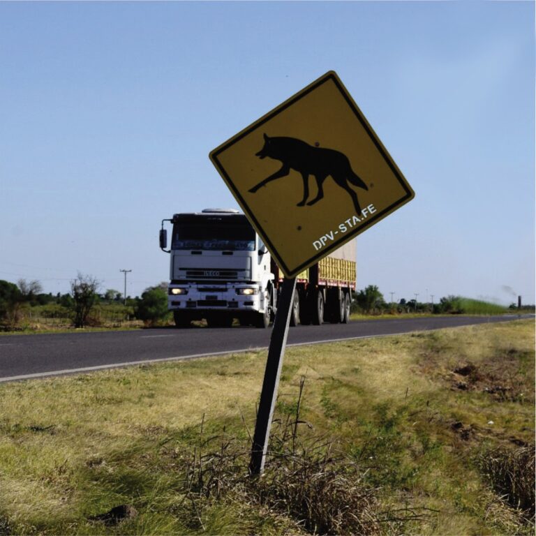 Impacto de rutas sobre la fauna silvestre en el ciclo de Ateneos del Museo Ameghino