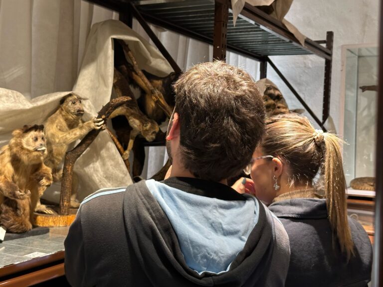 Visitas mediadas al depósito de Zoología del Museo Gallardo