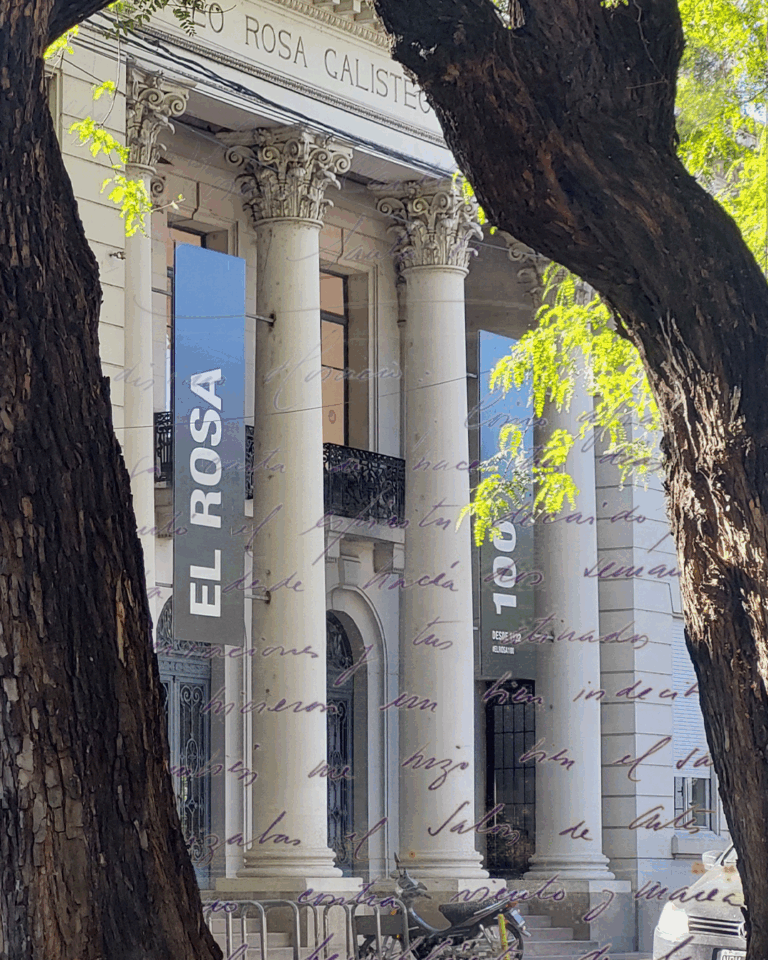Instrucciones para cartearse, nueva activación del Museo Rosa Galisteo