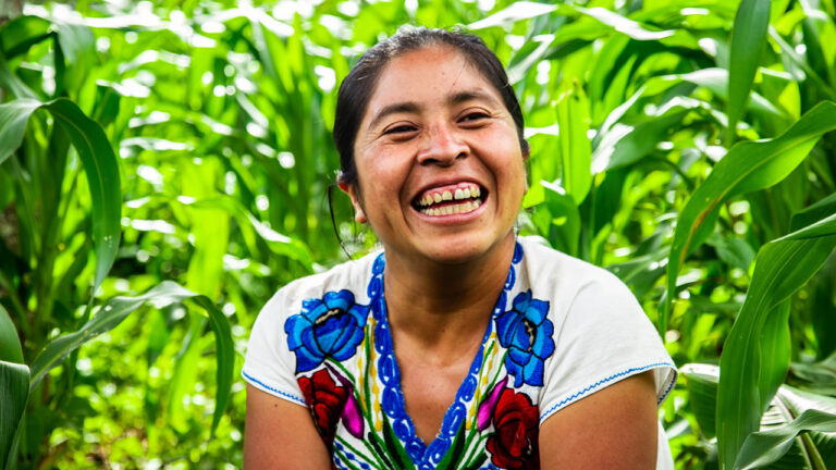 Programación semanal en El Cairo