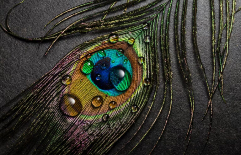 Carnaval en el Museo Ameghino