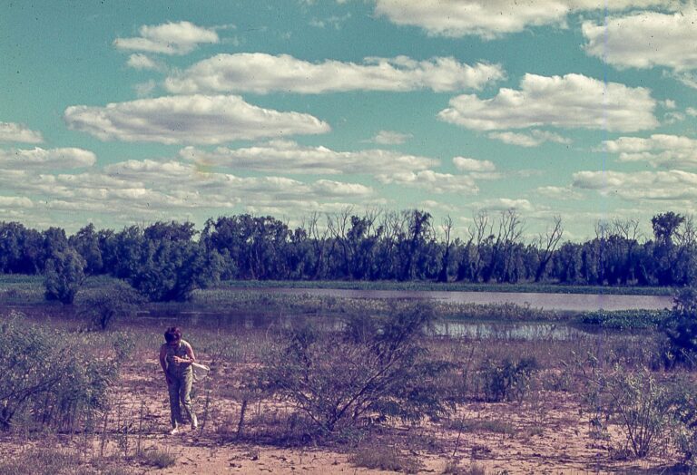 “Flora de marzo”: salida de campo por la Reserva Ecológica de la UNL