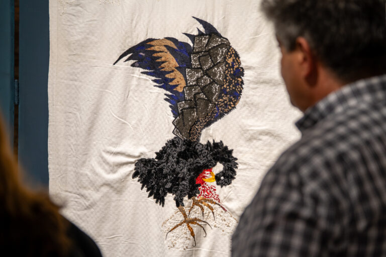 Muestra Días de fuego de Daniela Arnaudo en La Josefa