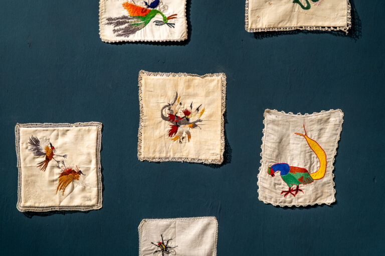 Muestra «Días de fuego» de Daniela Arnaudo en La Josefa