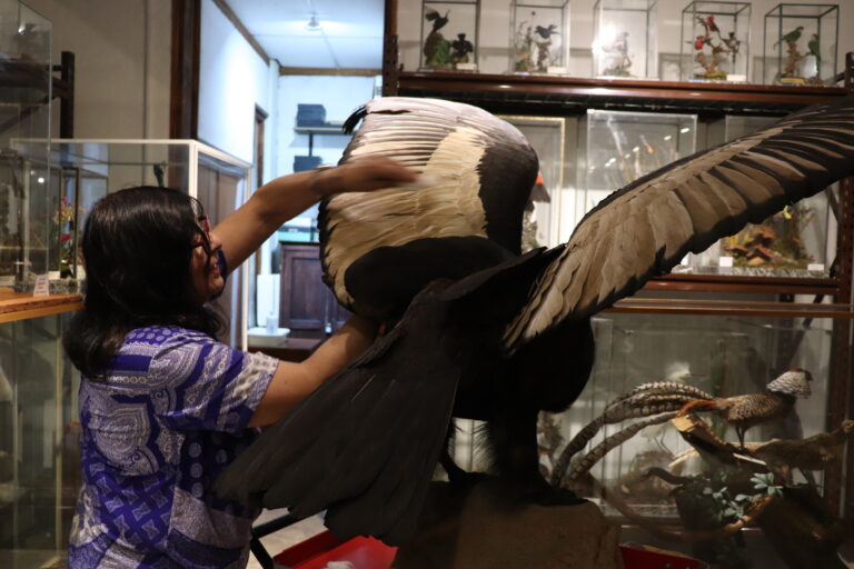 Mi motivación es despertar el respeto por la vida. Conocer para proteger