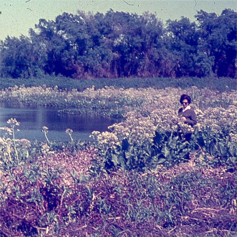 Es un lujo acompañar a Fito al lugar donde le sucedió lo bello, lo trágico y lo eterno