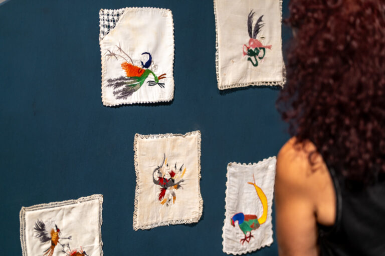 Muestra «Días de fuego» de Daniela Arnaudo en La Josefa