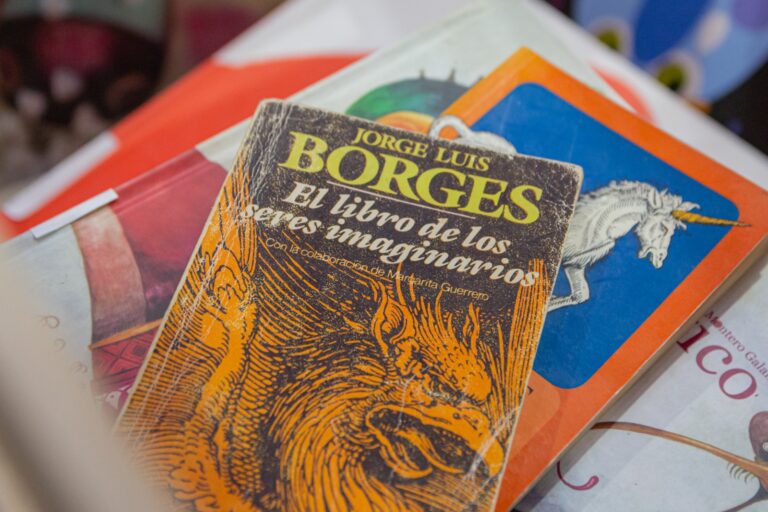 La ciudad de Santa Fe tendrá su Feria del Libro Usado y Antiguo